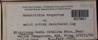 Image Associated With the Occurence